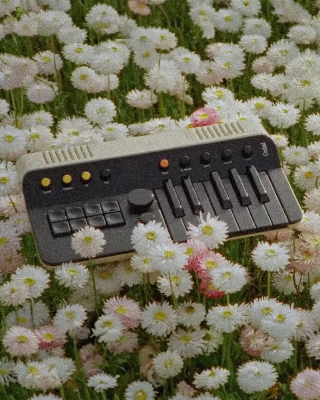 Portable polysynthesiser The Orchid Telepathic image preview